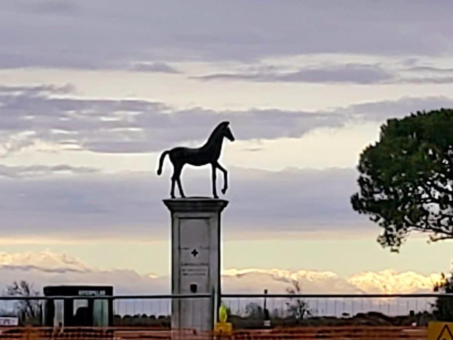 Appartamento Con Vista A Cavallino Venezia Buitenkant foto