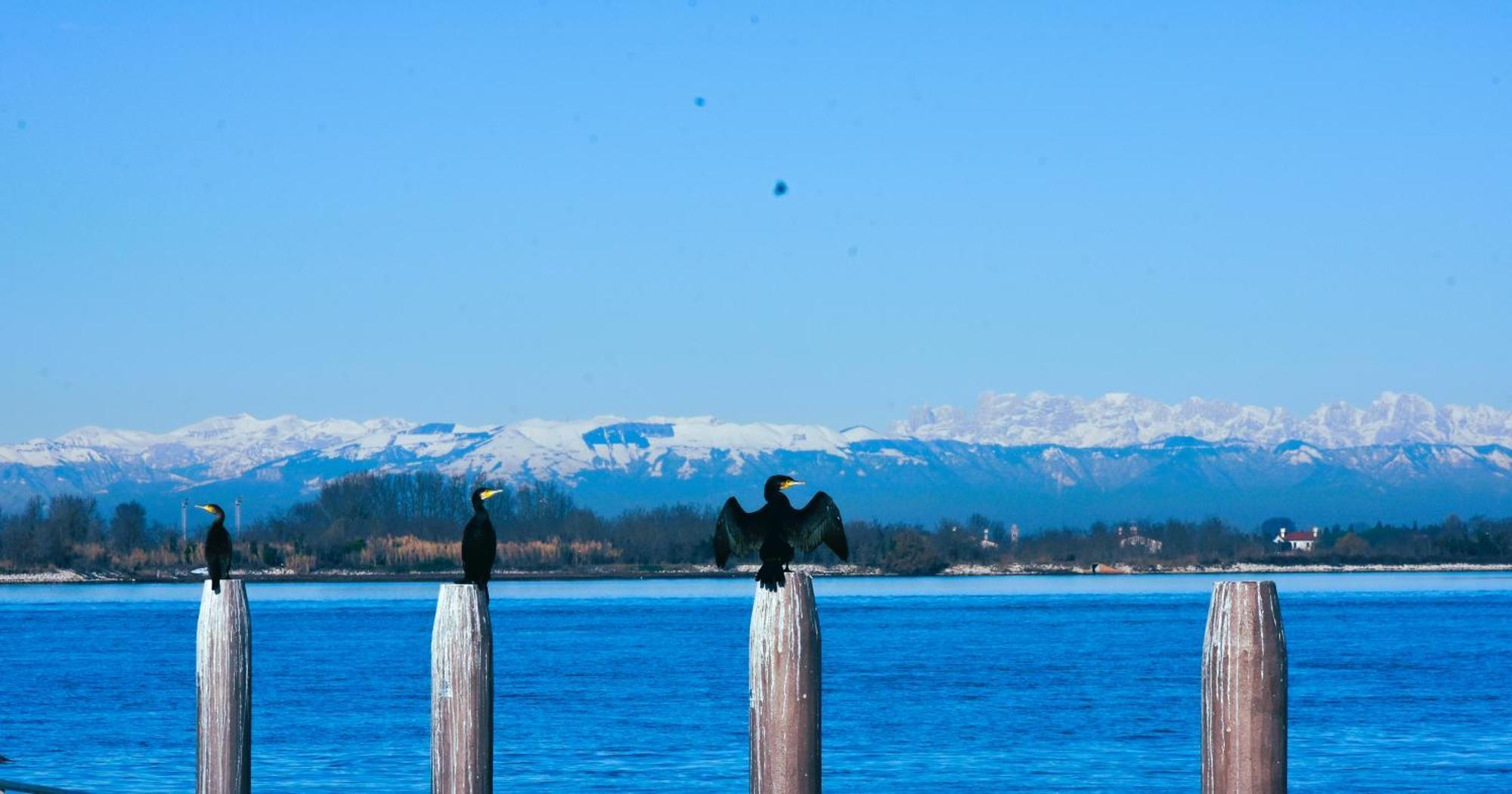 Appartamento Con Vista A Cavallino Venezia Buitenkant foto